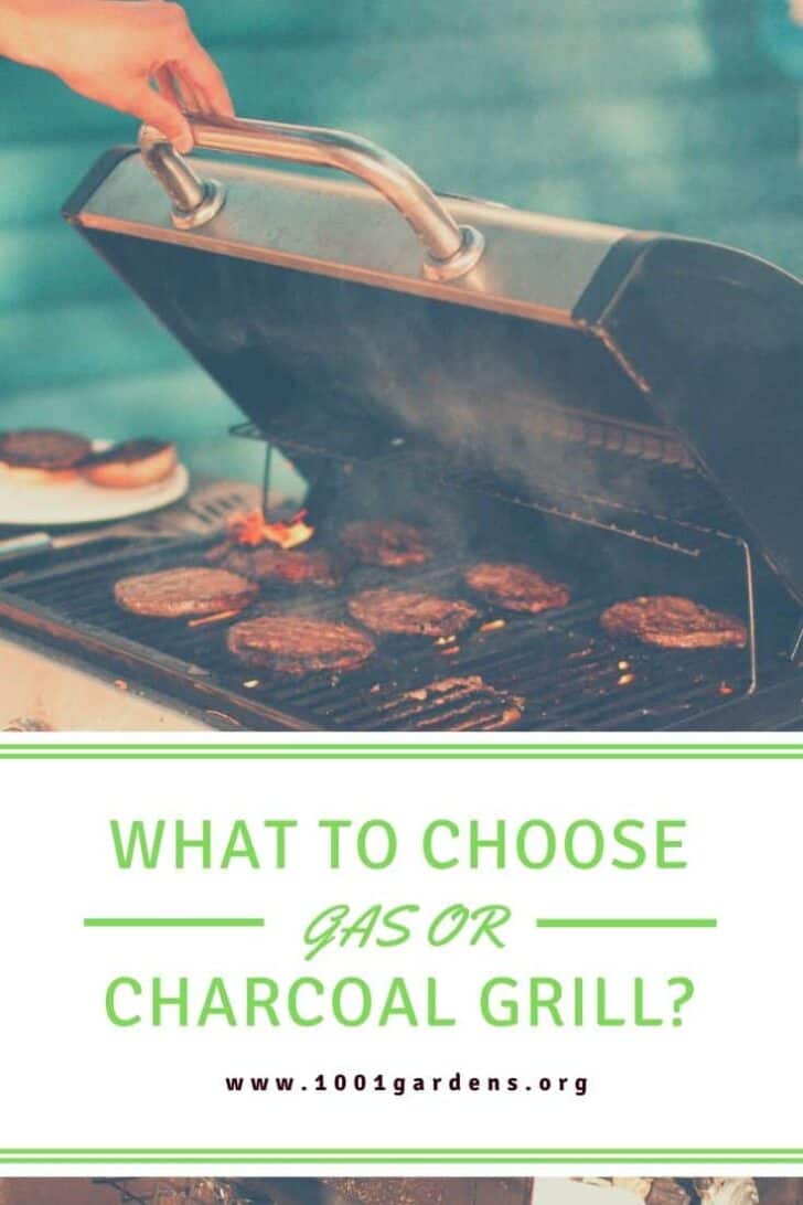 What To Choose: Gas Or Charcoal Grill? 2 - grill